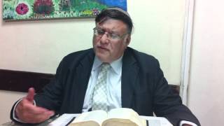 Rabbi Machlis Haftarah of Parshat Naso 5772 [upl. by Alrats110]