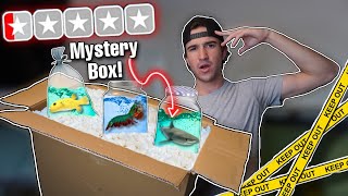 DONT BUY THIS LIVE FISH MYSTERY BOX ONLINE [upl. by Bish]