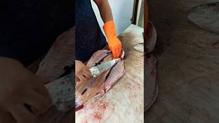 Butterfly fillet of trout with a kitchen knife [upl. by Leanor]