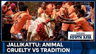 Jallikattu Controversial Bulltaming sport Returns  Inside South Asia [upl. by Gilberto]