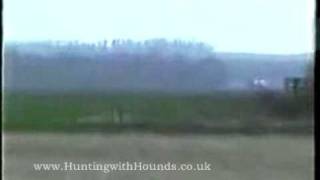 Kippers Bitch Vs The Captain  Pre Ban Hare Coursing [upl. by Nytsirhc]