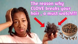 quotYour hair breaks off because of CLOVESquot The reason why CLOVE causes hair breakage how to fix it [upl. by Lawan93]