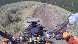 🍊FLEECER RIDGE DESCENT PART 1 KTM🍊 [upl. by Tristis700]