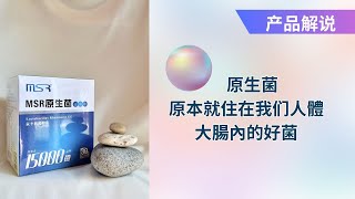 原生菌：人體大腸內原有的好菌  鼠李糖乳酸桿菌 LGG Lactobacillus rhamnosus GG [upl. by Tormoria]