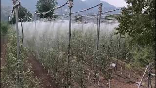 Drip irrigation system With Foger Netafim [upl. by Justis512]