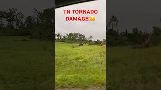 TN TORNADO DAMAGE NEAR US Part 1 tornado damage tree sad jesus destruction wow [upl. by Rehnberg]