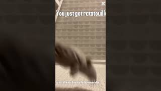 you just got ratatouilled shorts viral ratatouille food meme rat comedy [upl. by Sennahoj]