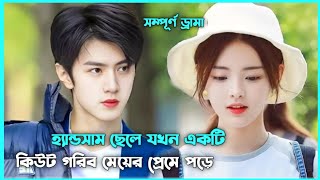 রোমান্টিক লাভ স্টোরি 💖 Forever Love Movie Explain in Bangla  Korean Drama Bangla 🟤 Movie Story SJ [upl. by Kinsman]