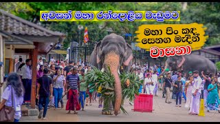 Wasana  පිං කඳ වාසනා  Kandy Dalada Perahera [upl. by Larry]