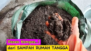 Panen Kompos dari sampah rumah tangga [upl. by Aicilyhp361]