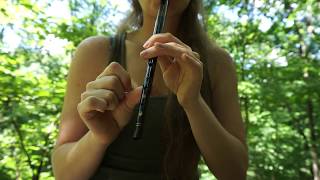 Flight of the Silverbirdtin whistle  tutorial [upl. by Zasuwa]