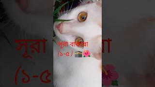 সূরা বাকারা 🕋viralvideo shorts surah foryoutrending [upl. by Octavus]