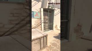 Dominating Pistol Round cs2 dust2 pistol csgo cs2game counterstrike cs2clip [upl. by Aniahs90]