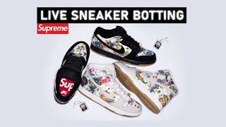 🔴 LIVE COP  Botting the Supreme Nike SB Dunk High Low Rammellzee [upl. by Boak361]