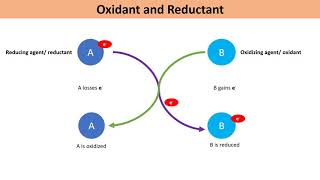 1 Oxidation Reduction OxidantOxidizer Oxidizing agent ReductantReducerReducing agent [upl. by Letsyrc443]