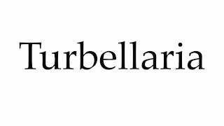 How to Pronounce Turbellaria [upl. by Kernan]