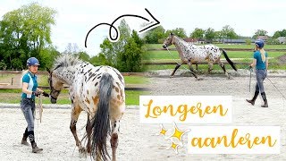 Hoe leer je je jonge paard LONGEREN  felinehoi PUP NAAR PAARD 2 [upl. by Topliffe]