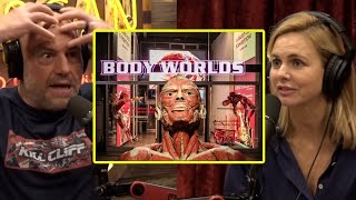 Body Worlds Exhibit Is Using Real Dead Bodies  Joe Rogan amp Mariana Van Zeller [upl. by Aranat]