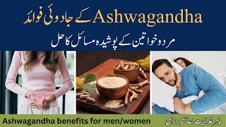 Ashwagandha Benefits For MenWomen Ashwagandha Ke Fayde Dietitian Ayesha Razzaq [upl. by Rehctaht]