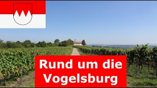 🚶🏽‍♂️ Sonnige WeinWanderung rund um die Vogelsburg am Main bei VolkachNordheimEscherndorf [upl. by Ppilihp91]