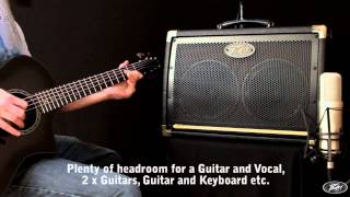 Peavey Ecoustic Acoustic Guitar Amplifiers [upl. by Cohl]