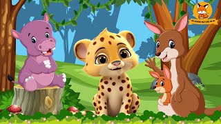 Lovely Animal Sounds Hippo Cheetah Kangaroo Wallaby Seahorse  Animal Moments [upl. by Raphaela]