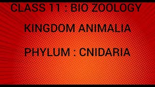 Phylum  Cnidaria  Kingdom Animalia  Class 11  Bio Zoology  Tamil [upl. by Ellak]