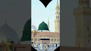 madina subhanallah shortfeed muhammadﷺ reels shortvideo [upl. by Ijneb]