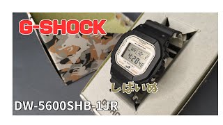 GSHOCK DW5600SHB1JR 柴犬 【レビュー】 [upl. by Rickard]