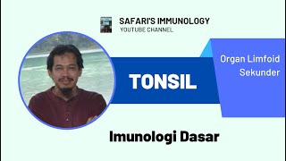 TONSIL [upl. by Davenport]