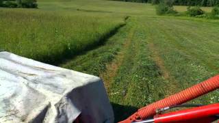 John Deere mowing hay Kuhn disc mower [upl. by Becki]