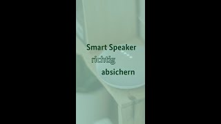 Smart Speaker richtig absichern [upl. by Hgielyk]