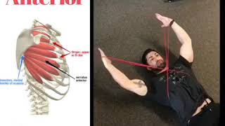 Serratus Anterior Shoulder Stability [upl. by Akemaj]