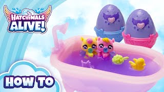 Hatchimals Make a Splash Playset  How to Use  Toys for Kids [upl. by Ahsoyem]