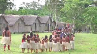 Origens  Aldeia Indigena Yawanawa [upl. by Fabri]