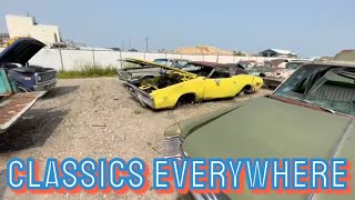 North Dakota’s best salvage yard [upl. by Fitzsimmons]