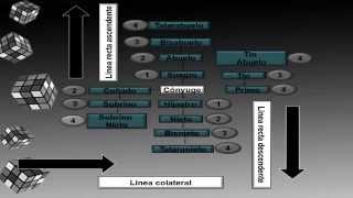 Grados y tipos de parentesco [upl. by Nylaf]