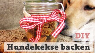 HUNDEKEKSE BACKEN  Thunfisch LECKERLI für HUND  KATZE selber backen DIY [upl. by Oniotna]