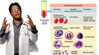 Function of Blood Bangla  রক্তের কাজ ও গঠন Medical Science  Anatomy and Physiology [upl. by Thorndike]