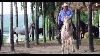 Mix Vicente Fernandez  Corrida De Caballos Dj Carlos Sanabria [upl. by Eytak935]