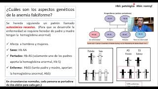 Herencia de la Anemia de Células Falciforme [upl. by Keely898]