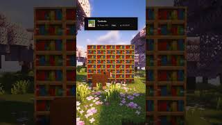 BEST Texture PackMod Continuity Minecraft shorts [upl. by Decker]