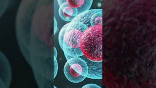 Mitosis – Cell Division for Growth celldivision mitosis quickfacts science facts [upl. by Suh]