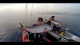 Pêche de la Sériole en kayak  Amberjack kayak fishing [upl. by Coussoule93]