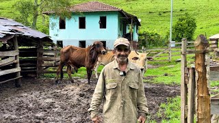 ELE VIVE SOZINHO E AOS 62 ANOS DISSE QUE NUNCA NAMOROU NA VIDA [upl. by Jolee]