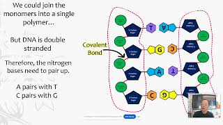 Nucleic Acids  General Biology Updated [upl. by Aibun]