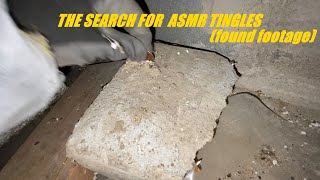 The Search For ASMR Tingles found footage [upl. by Ayardna]