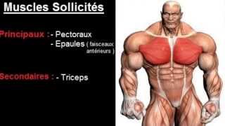 Exercice musculation Pectoraux  quot Développé couché haltères quot [upl. by Primaveria]