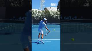 Forehand Compilation  Novak Djokovic Slow Motion Back View 1 Shorts [upl. by Swinton]