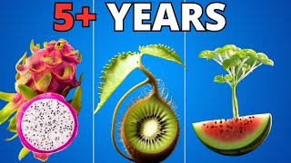 I Grew Plants for 5 YEARS to Make This TIMELAPSE Compilation [upl. by Killoran660]